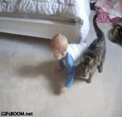 cat loves a baby